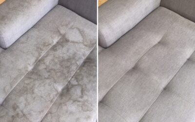 Water Stains on Couch After Cleaning: What to Do