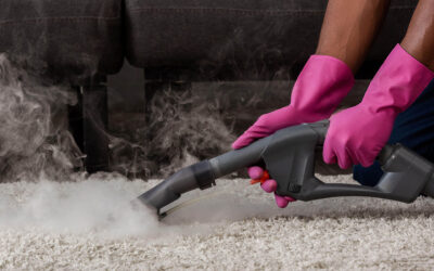 The Top 10 Most Common Carpet Stains and How to Remove Them with Steam Cleaning