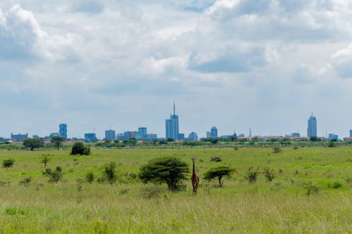 Nairobi City Skyline from Nairobi National Park