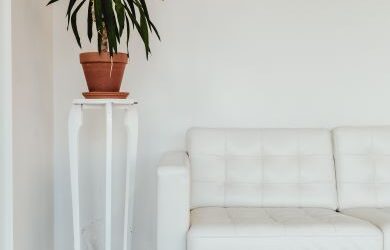 Best Way to Clean a White Leather Sofa