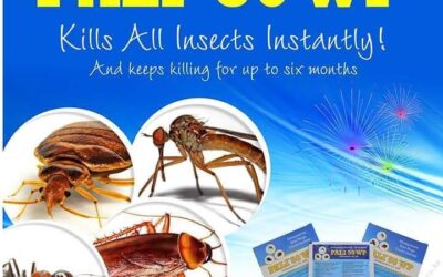 The Ultimate Guide to Pest Control Products