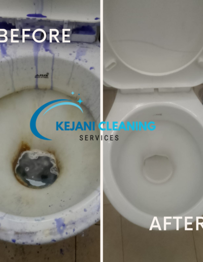 Before & After Toilet Cleaning , Whitening & Disinfection