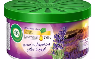 Which Air Freshener Lasts the Longest?