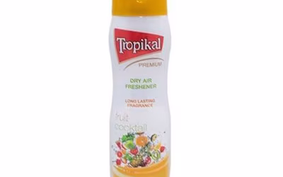 What Is the Best Air Freshener for the Home?