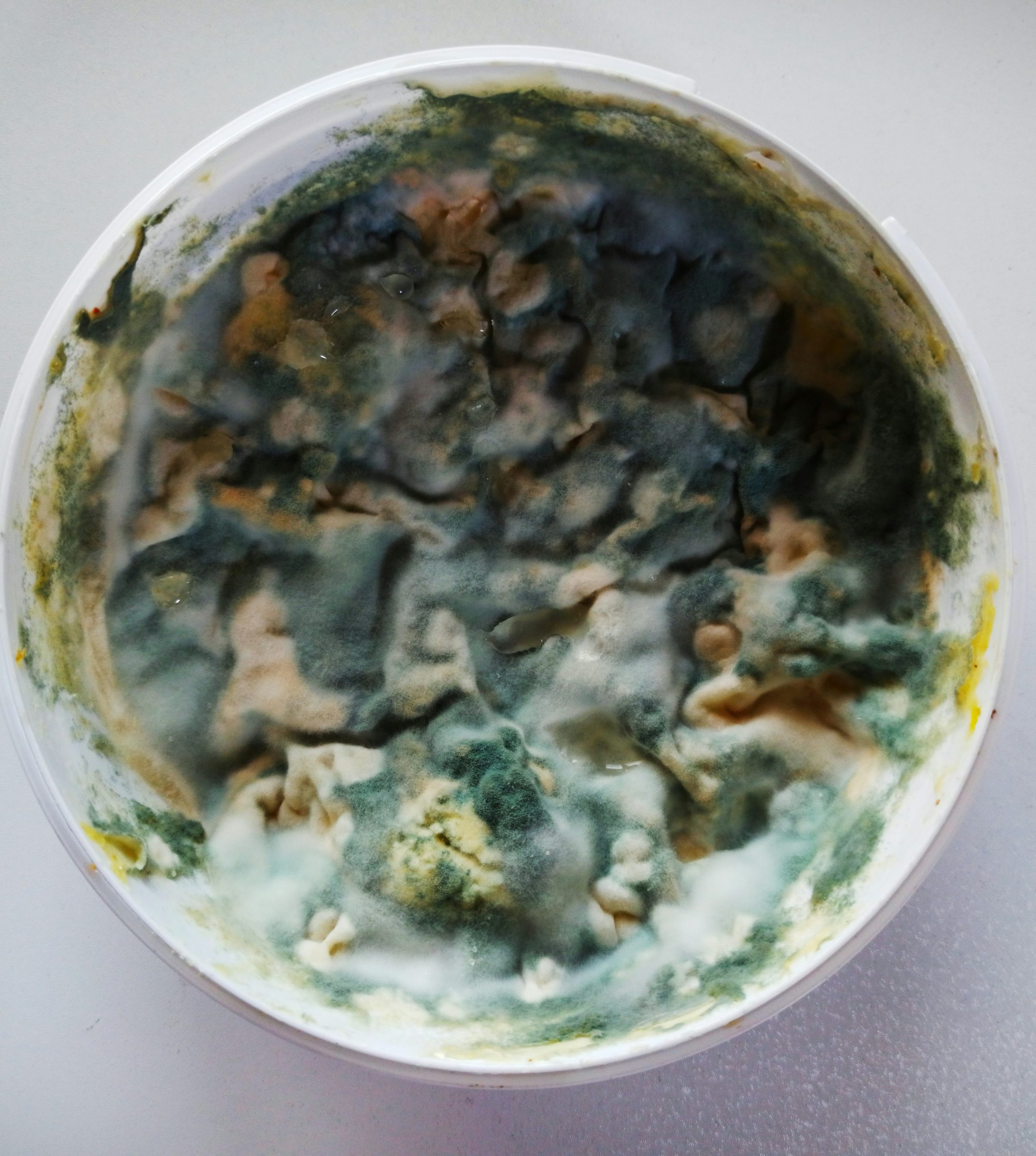 Mold