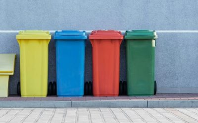 What Is the Color of the Recyclable Waste Bin?
